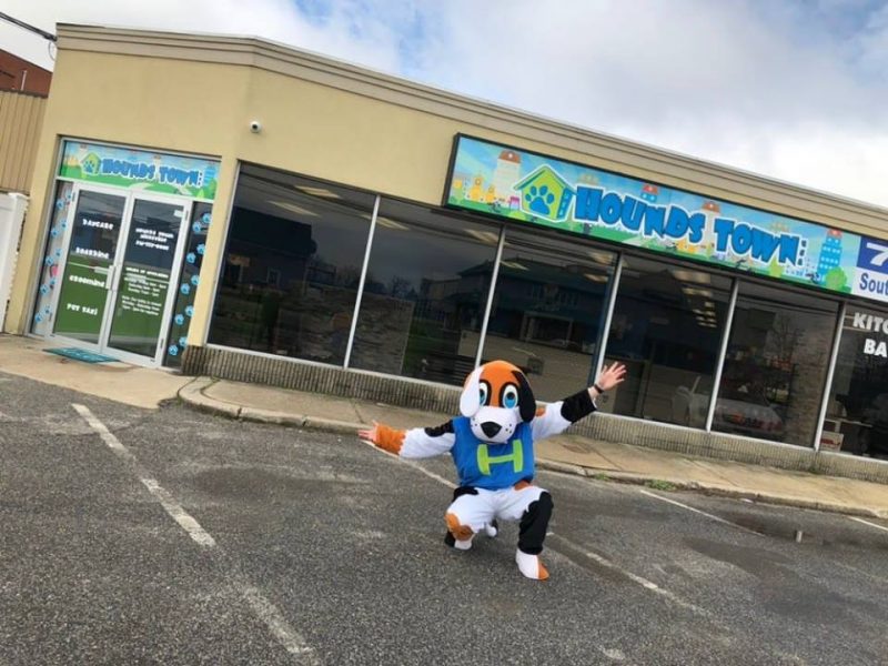 Doggie Day Care Hounds Town Hicksville