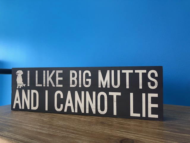 Doggie Day Care Hounds Town Hicksville