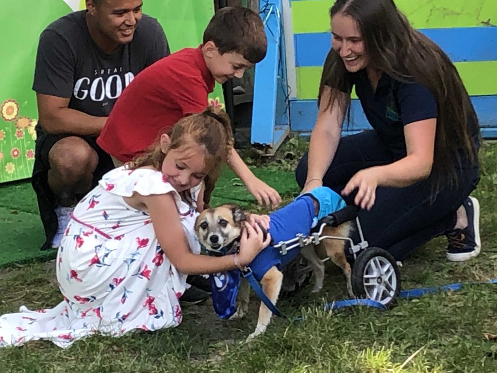 Hounds Town Doggie Day Care Charity Event