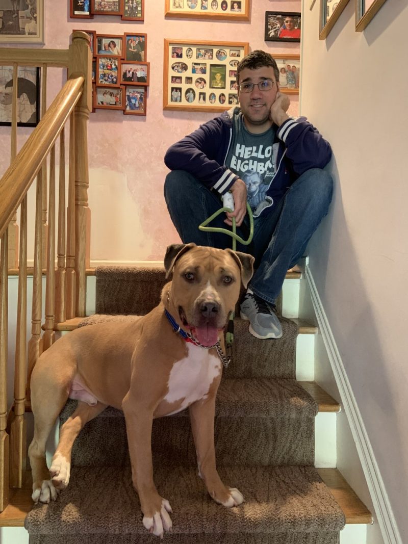 bobby - rescue dog - pitbull mix - dog day care