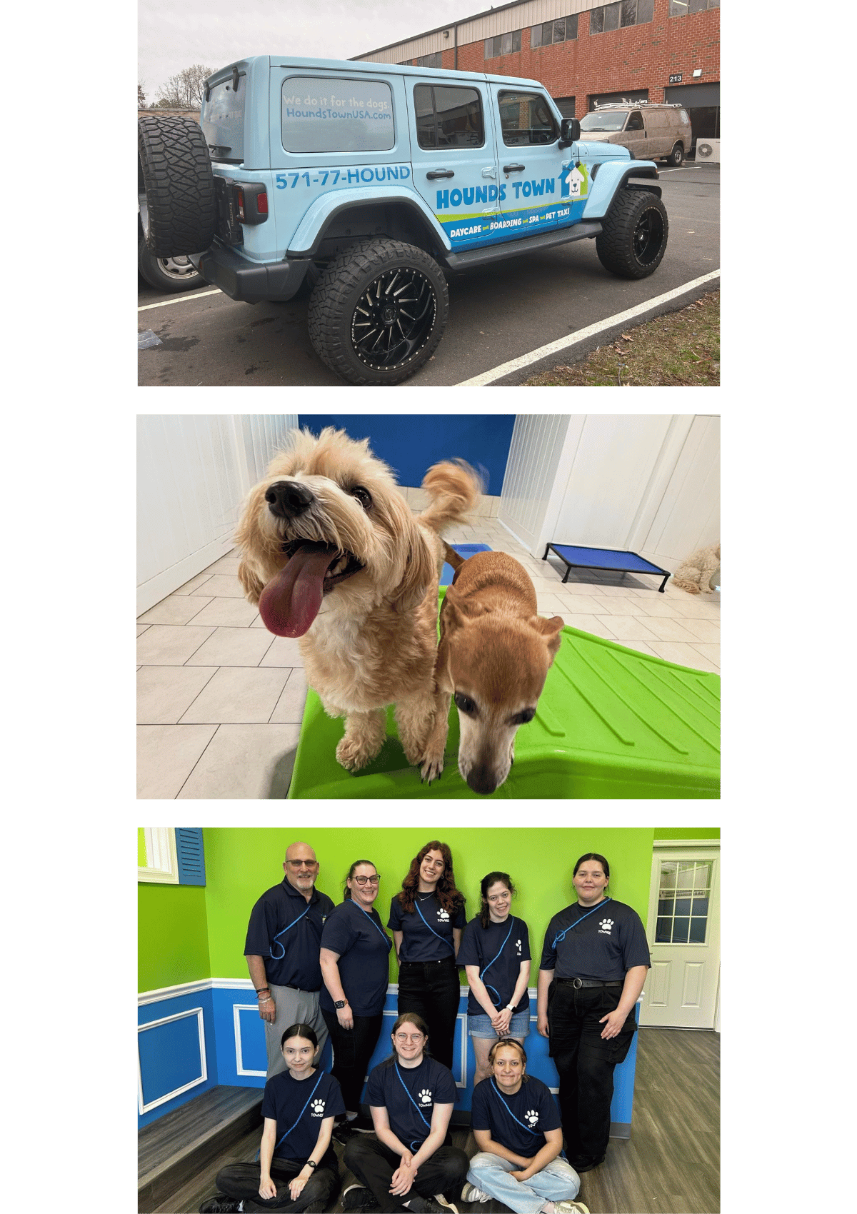Photos from Hounds Town doggy daycare and dog boarding in Dulles, VA