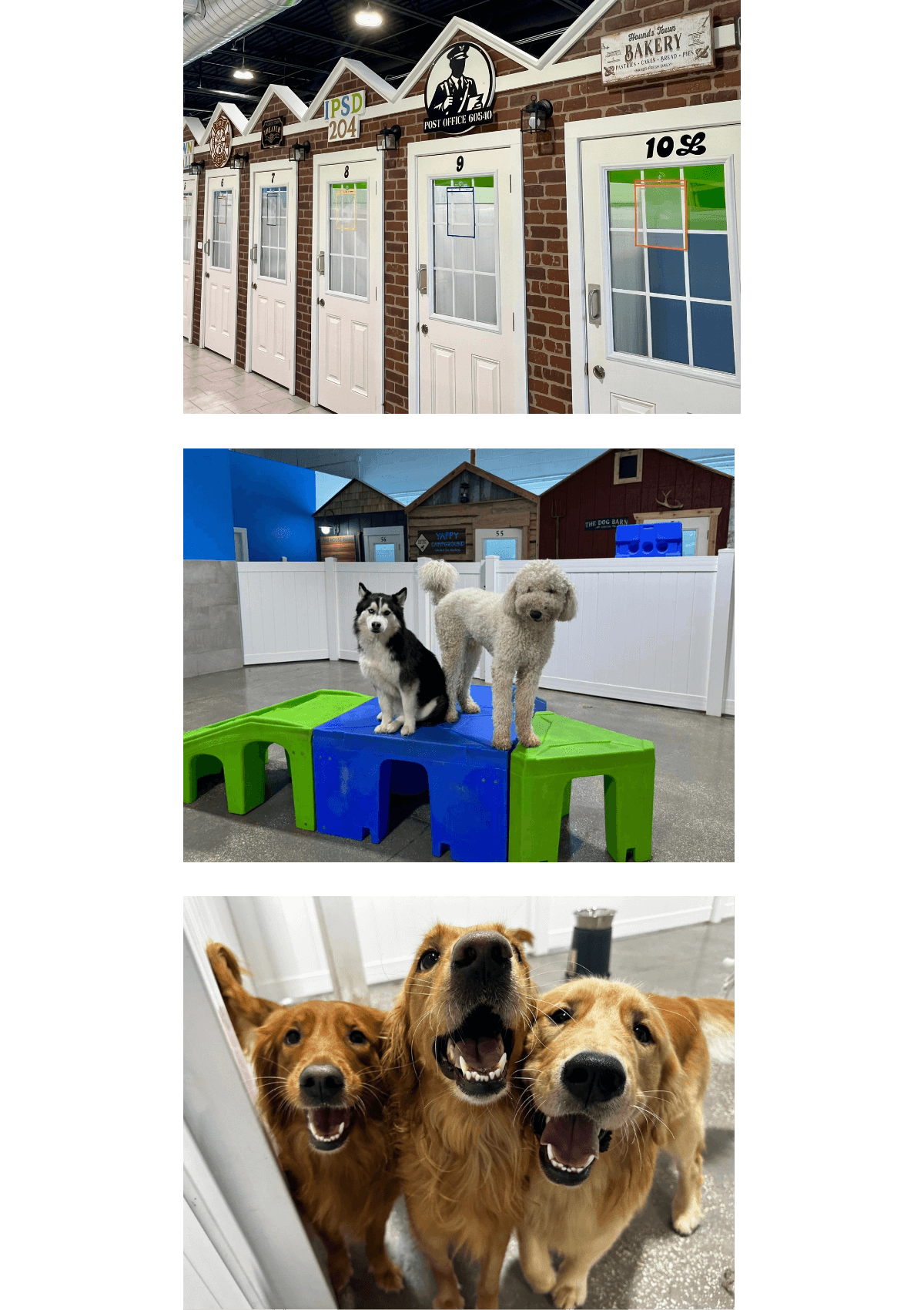 Collage of photos from Hounds Town doggy daycare and boarding