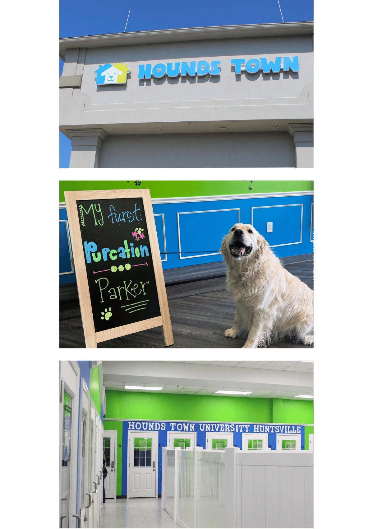 Photo collage of the inside and outside of Hounds Town doggy daycare and boarding in Huntsville, Alabama