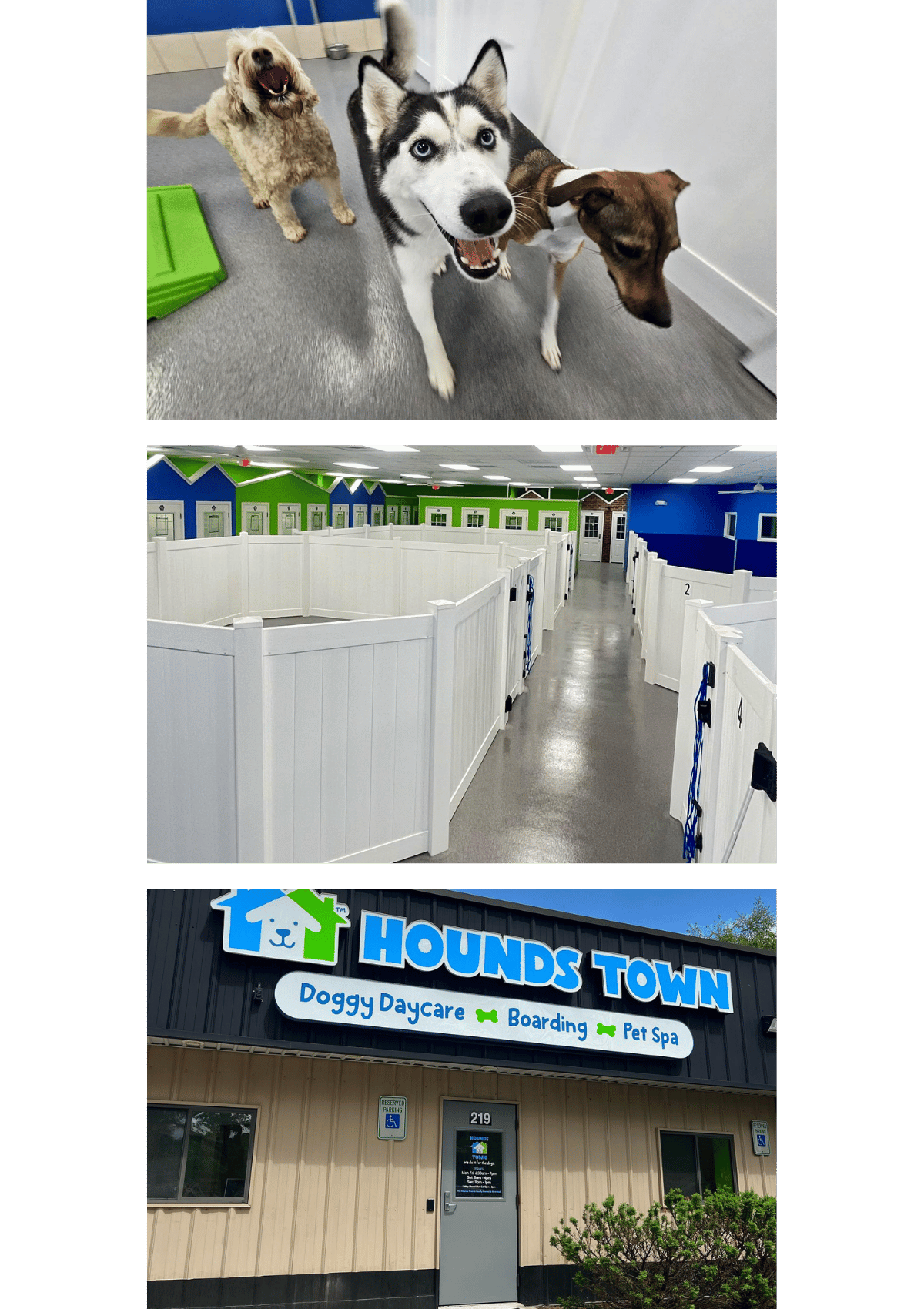 photos from Hounds Town doggy daycare and boarding in Millersville, MD